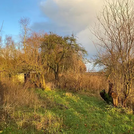 別荘 Ferien Im Brookmerland *