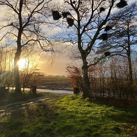 Ferien Im Brookmerland 度假居 Leezdorf